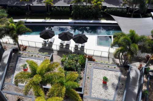 赫维湾海湾公寓酒店的享有游泳池的顶部景色,游泳池配有遮阳伞和棕榈树