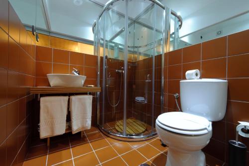 马尔旺瑟沃尔里约酒店的带淋浴、卫生间和盥洗盆的浴室