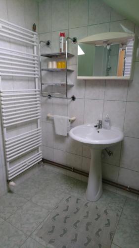 GajićApartment Kostolic的一间带水槽和镜子的浴室