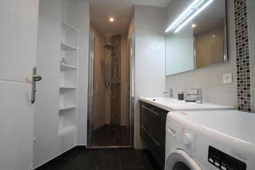 巴黎舒适之选公寓的一间带水槽和洗衣机的浴室