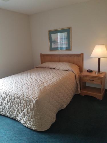 加斯托尼亚Affordable Suites Gastonia的一间卧室配有一张床和一张带台灯的桌子