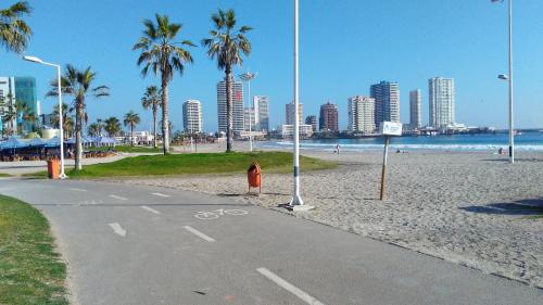 伊基克Iquique sun的棕榈树海滩上的自行车道和城市