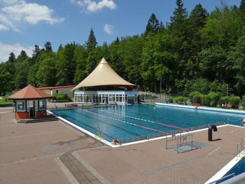 伊尔梅瑙布拉德施公寓的旁边设有凉亭的大型游泳池