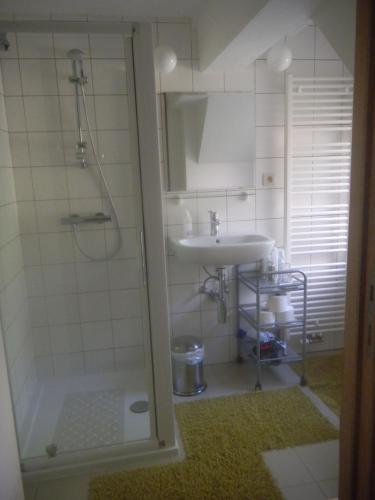 隆德泽尔Verreveld的带淋浴和盥洗盆的浴室