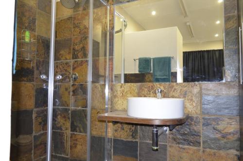波罗瓜尼Birrea Guest house的一间带水槽和淋浴的浴室