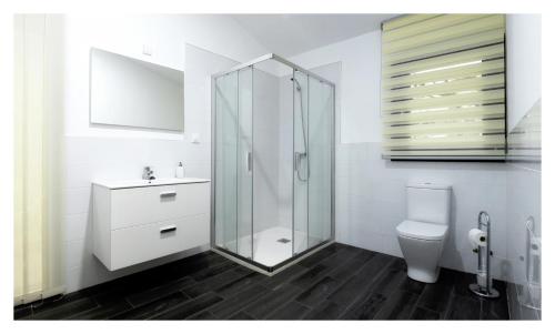 欧特斯Eco House Tavilo的一间带卫生间和玻璃淋浴间的浴室