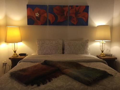 墨西哥城卡萨摩尔卡耶公寓的一间卧室配有一张床,床上有毛皮毯子