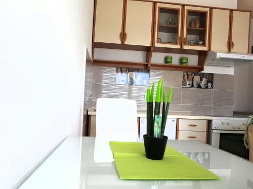 蒂瓦特Apartman Milovic的厨房柜台设有绿色垫子和绿植物花瓶
