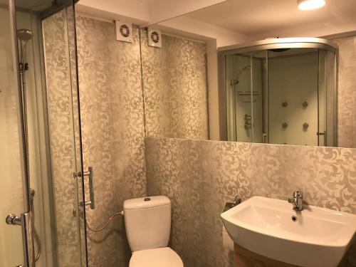 奥托佩尼奥托佩尼潘西乌尼亚酒店的浴室配有卫生间、盥洗盆和淋浴。