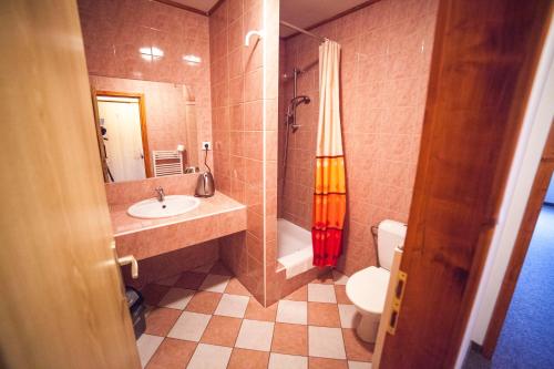 新比斯特日采福格酒店的一间带水槽、淋浴和卫生间的浴室