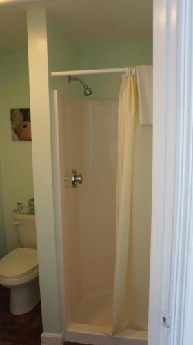 汉普顿大西洋金沙酒店的带淋浴和卫生间的浴室