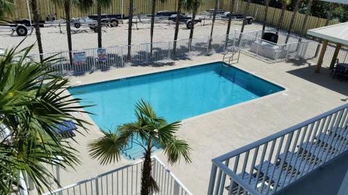 马拉松Knight's Key Suites的享有游泳池的顶部景色,游泳池拥有棕榈树