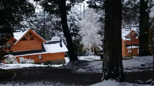 拉安戈斯图拉镇梅勒维酒店的雪覆盖的树林中的小屋