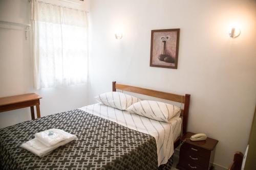 圣保罗Hotel Turiassú的卧室配有一张床,墙上挂着一幅画