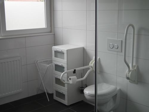 济里克泽B & B Kaaskenswater的一间带卫生间和窗户的浴室
