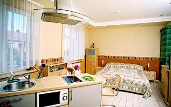 考纳斯考纳斯公寓的一个带水槽的厨房和一张位于客房内的床