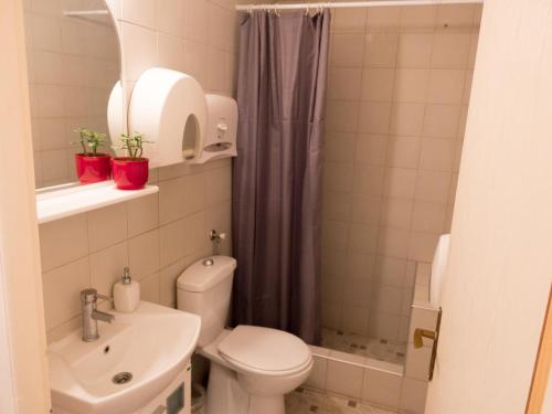 贝尔格莱德巴尔干苏尔旅舍的浴室配有卫生间、盥洗盆和淋浴。