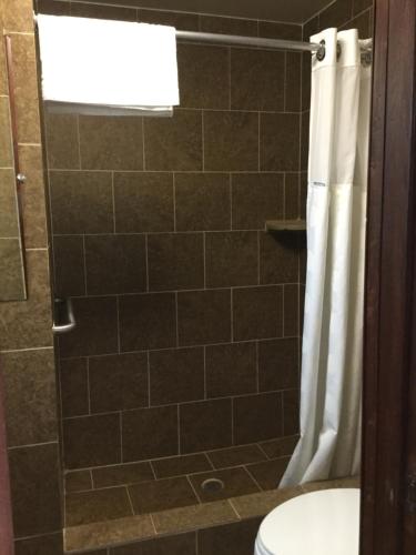 Johnston CornersBest Motel的带淋浴帘和卫生间的浴室