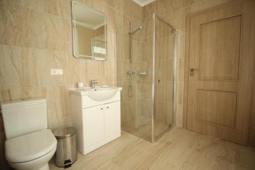 帕兰加Vytauto vila的带淋浴、卫生间和盥洗盆的浴室