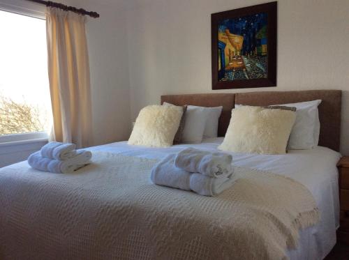 卡罗代尔阿什班克酒店的一间卧室配有两张带毛巾的床