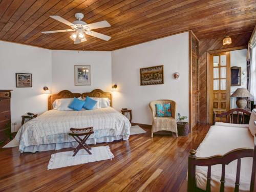 圣何塞卡萨代拉斯提亚斯酒店的一间卧室配有一张床和吊扇