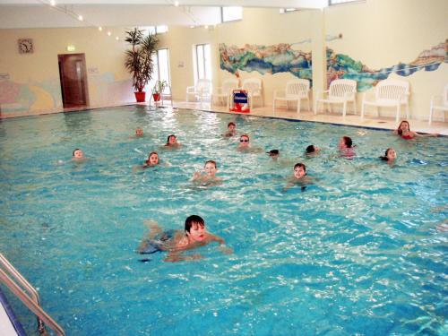 波滕施泰因施万酒店的一群人在游泳池游泳