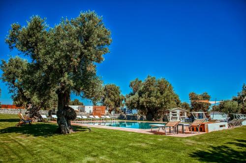 奥斯图尼玛西里雅伊尔法兰托依欧酒店的院子里有树的游泳池