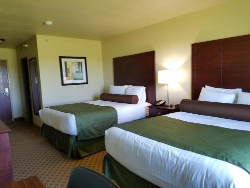 BottineauCobblestone Inn & Suites - Bottineau的酒店客房配有两张床和一张书桌