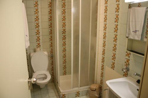 博迪奥车站旅馆的一间带卫生间和水槽的浴室