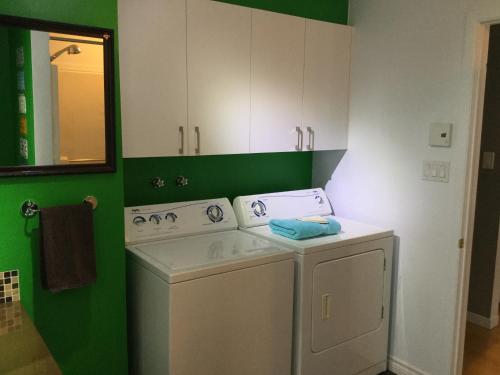 维多利亚维尔La Maison des Éboulis的洗衣房配有洗衣机和绿色墙壁