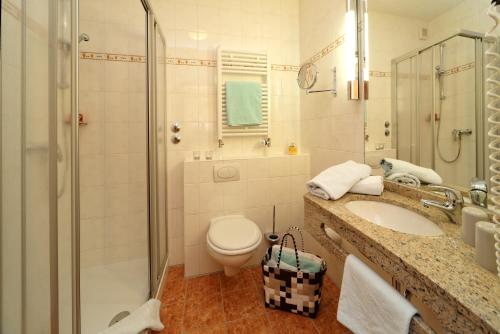 洛贝格Osserhotel Garni的浴室配有卫生间、盥洗盆和淋浴。