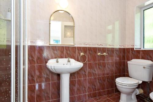 戈尔韦Boutique Guest House的一间带水槽、卫生间和镜子的浴室