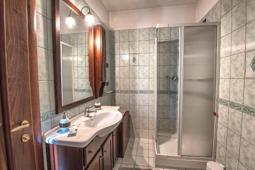 San Didero Hotel Casa Didé的一间带水槽和淋浴的浴室