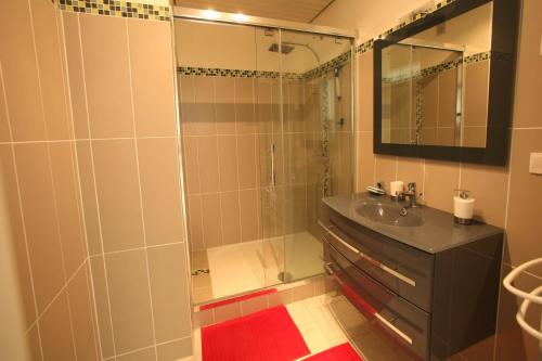 鲁西隆地区卡内Superbe Appartement Vue mer的带淋浴、盥洗盆和镜子的浴室