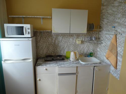 派尔努弗兰德伦帕匹尼杜公寓的厨房配有白色冰箱和微波炉