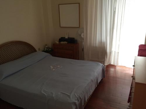 卡拉莫斯Vlastos Apartment的一间卧室设有一张床和一个大窗户