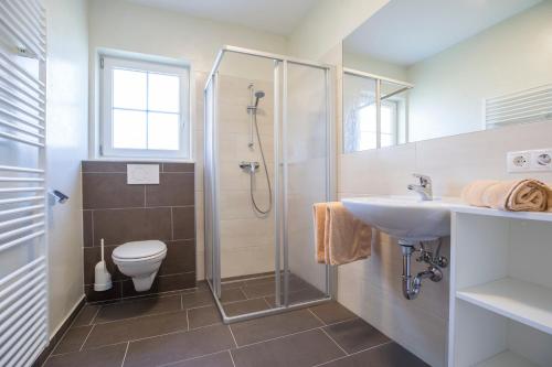 弗拉绍皮希勒公寓式酒店的带淋浴、盥洗盆和卫生间的浴室