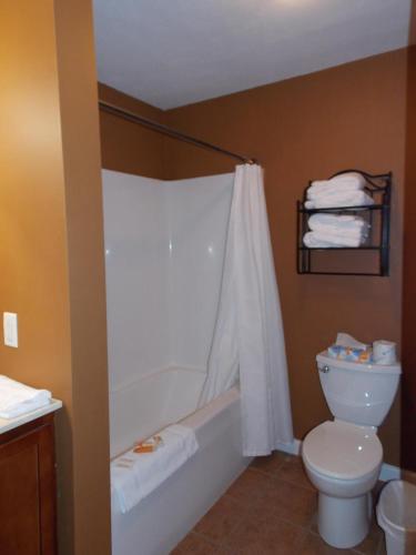 PittsfieldWilliam Watson Hotel的浴室配有卫生间、浴缸和水槽。