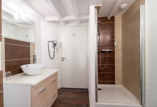 布吕兹珀米尔酒店的浴室配有白色水槽和淋浴。