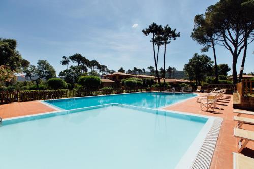 蓬塔阿拉Residence Renaione的一个带椅子和树木的大型游泳池
