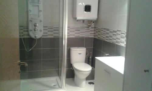 圣地亚哥－德孔波斯特拉Cancelas 94的浴室配有卫生间、淋浴和盥洗盆。
