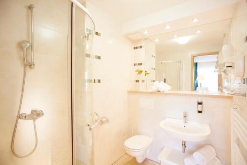 布莱德萨瓦服务度假酒店的浴室配有卫生间、盥洗盆和淋浴。
