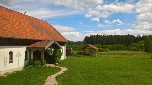 JabłonowoJabłkowo- gospodarstwo agroturystyczne na skraju Puszczy Boreckiej的一座带橙色屋顶和草地庭院的房子