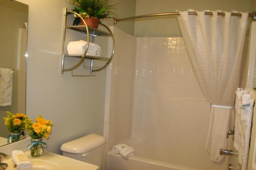 杰克逊维尔杰克逊维尔实惠套房酒店的带淋浴、卫生间和盥洗盆的浴室