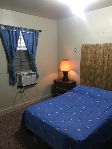 圣胡安Joe Apartment的一间卧室配有一张带蓝色床单的床和窗户。