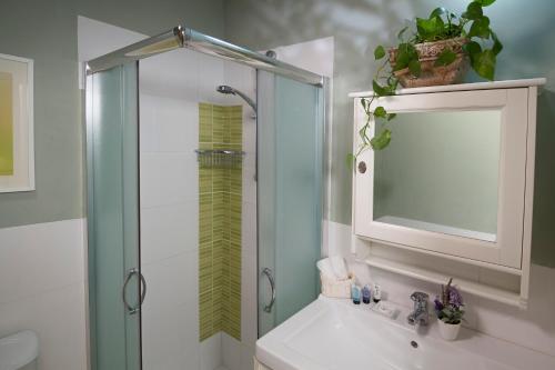 罗什平纳Pinat Nofesh的带淋浴和盥洗盆及镜子的浴室