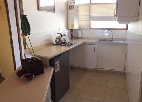 El ColoradoEl Colorado Bungalows的厨房配有白色橱柜和盆栽植物