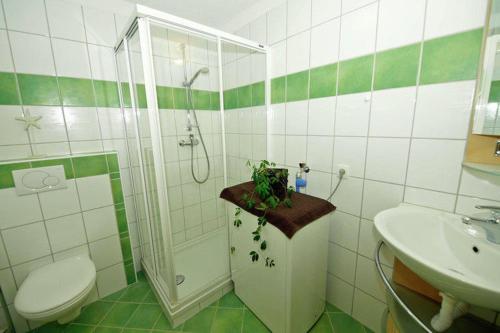 Imsterberg莲香酒店的带淋浴、卫生间和盥洗盆的浴室