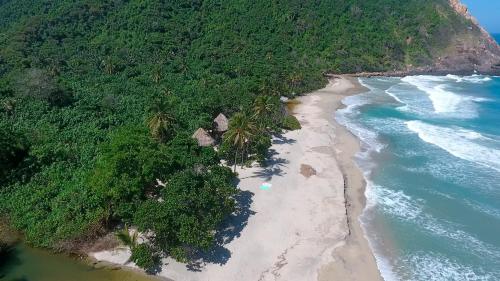 CalabazoEcolodge Playa Brava Teyumakke的享有棕榈树海滩和大海的空中景致