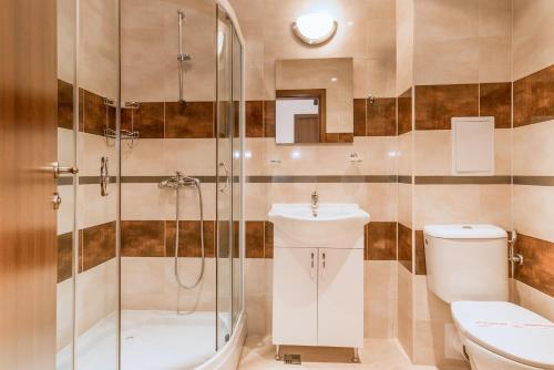 圣弗拉斯欧克斯根公寓的带淋浴、卫生间和盥洗盆的浴室
